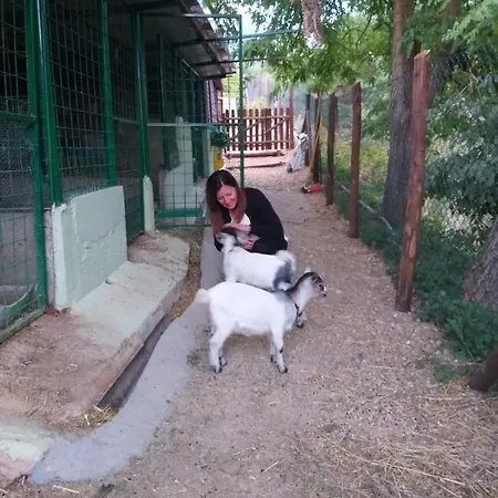 Oda ve Kahvaltı Fonte Vena Norcia