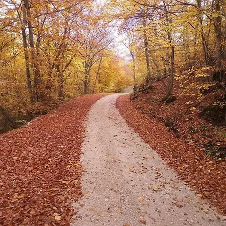 Fonte Vena Bed and Breakfast 3*