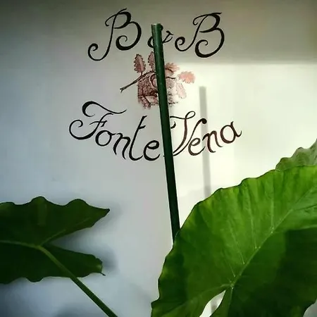 Fonte Vena Νόρτσια