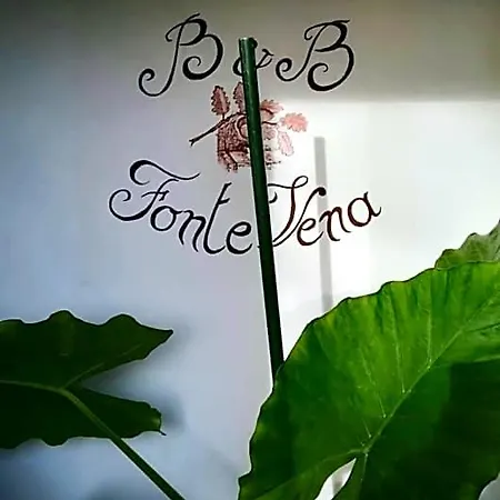 Fonte Vena ベッド・アンド・ブレックファスト ノルチャ