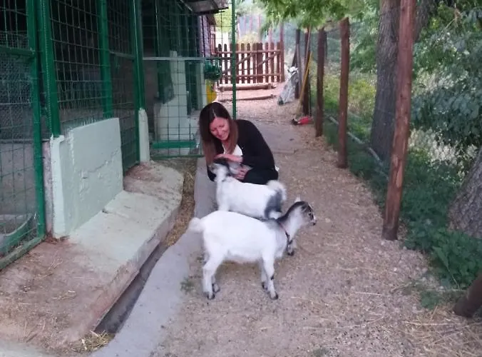 Bed & Breakfast Fonte Vena Norcia